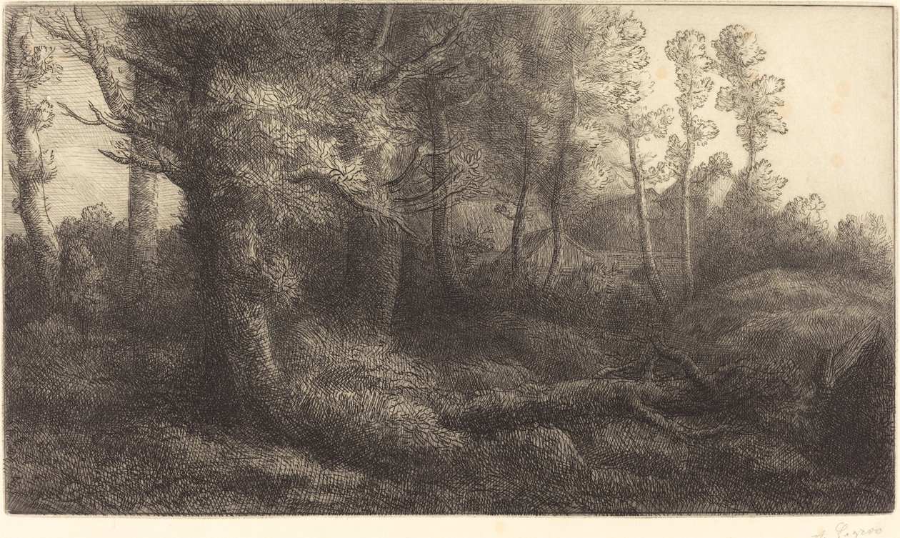 I skoven Lisiere de foret. af Alphonse Legros