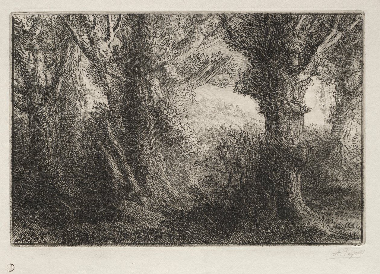I skoven ved Conteville. af Alphonse Legros