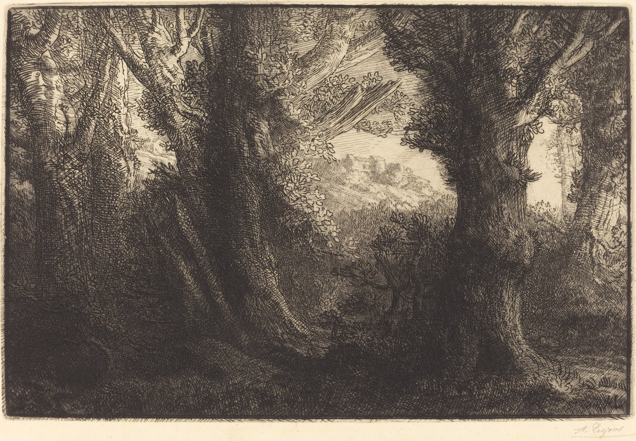 I Conteville-skoven (Dans la foret de Conteville) af Alphonse Legros