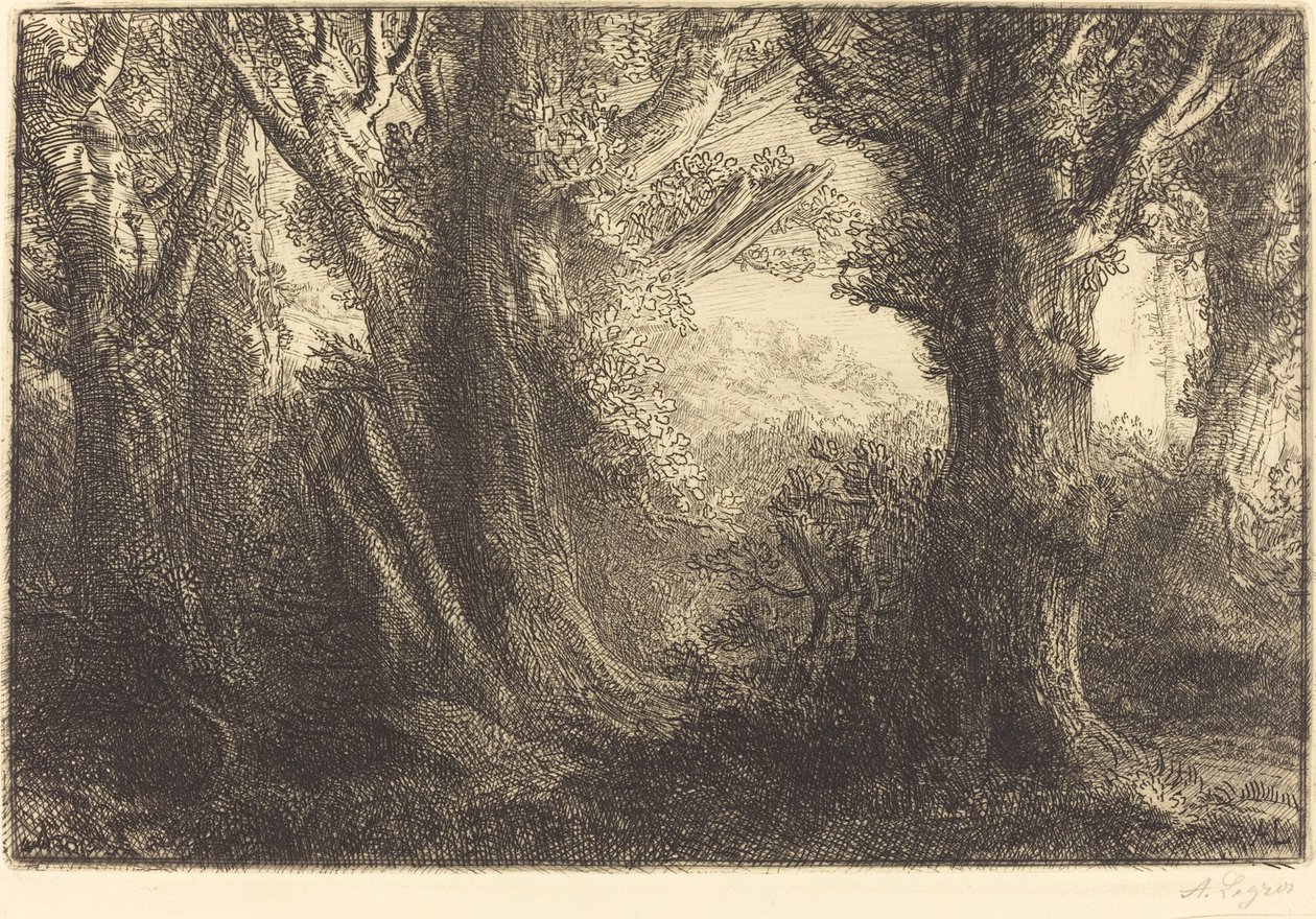 I skoven Conteville Dans la foret de Conteville. af Alphonse Legros