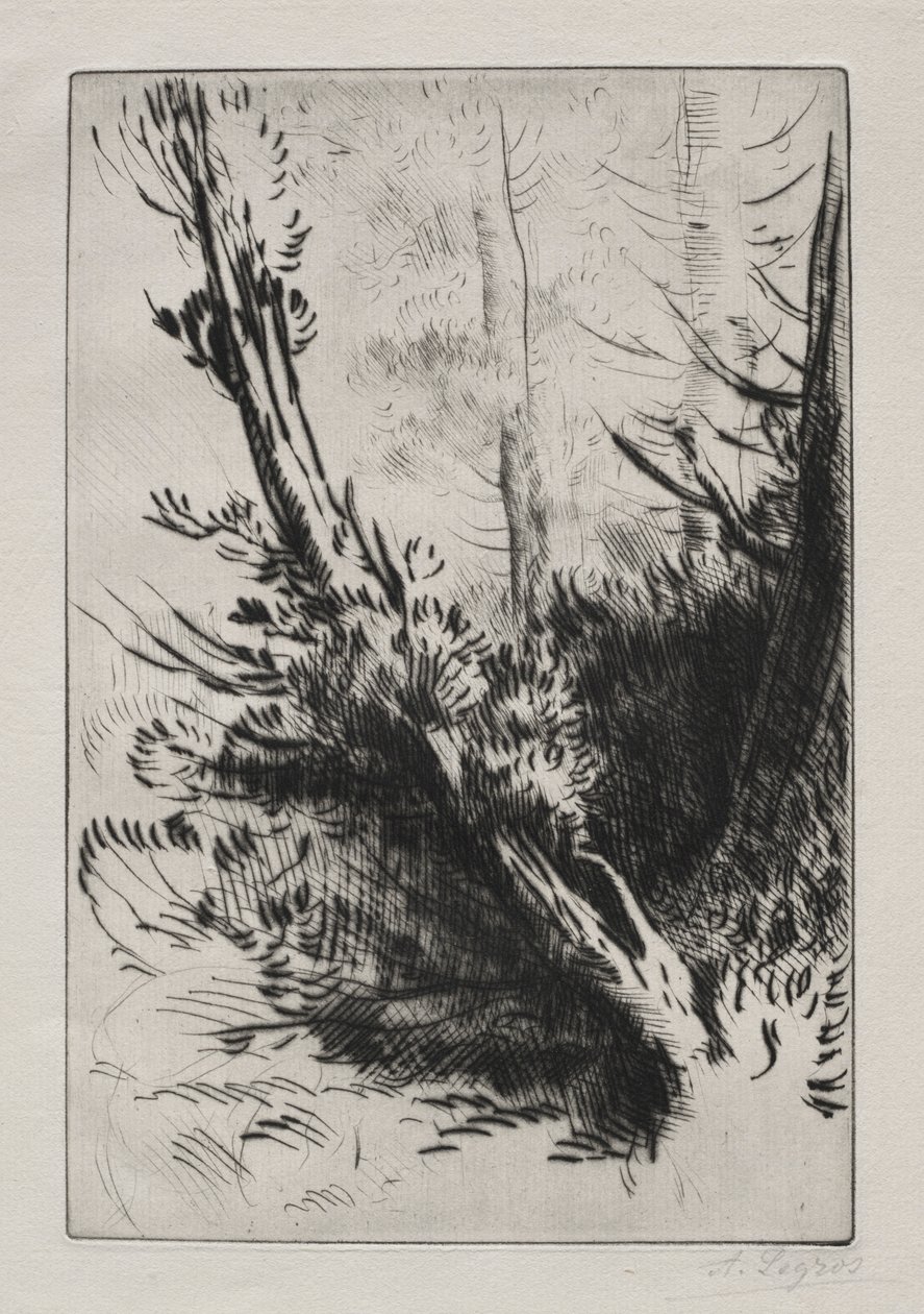 I skoven. af Alphonse Legros