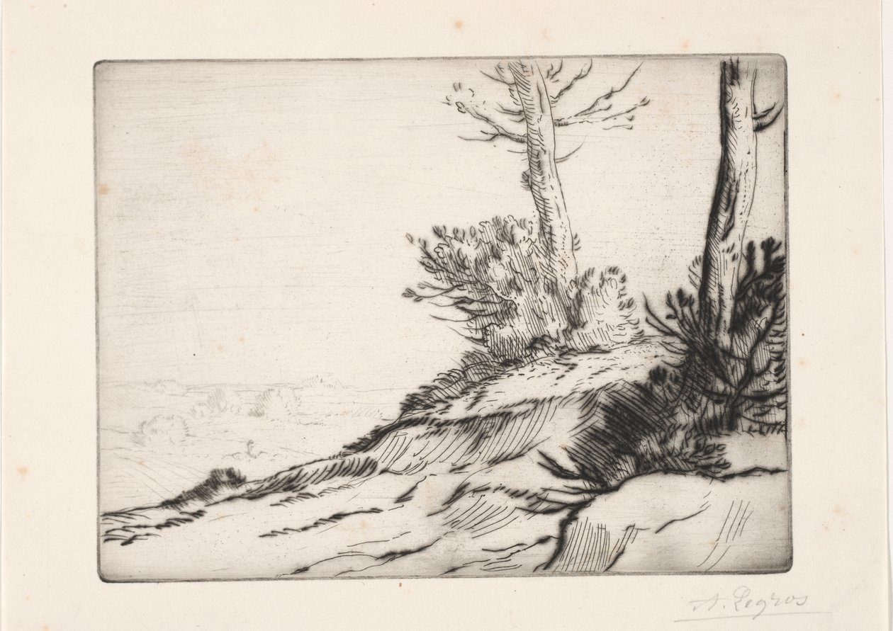 Børstehøjen af Alphonse Legros