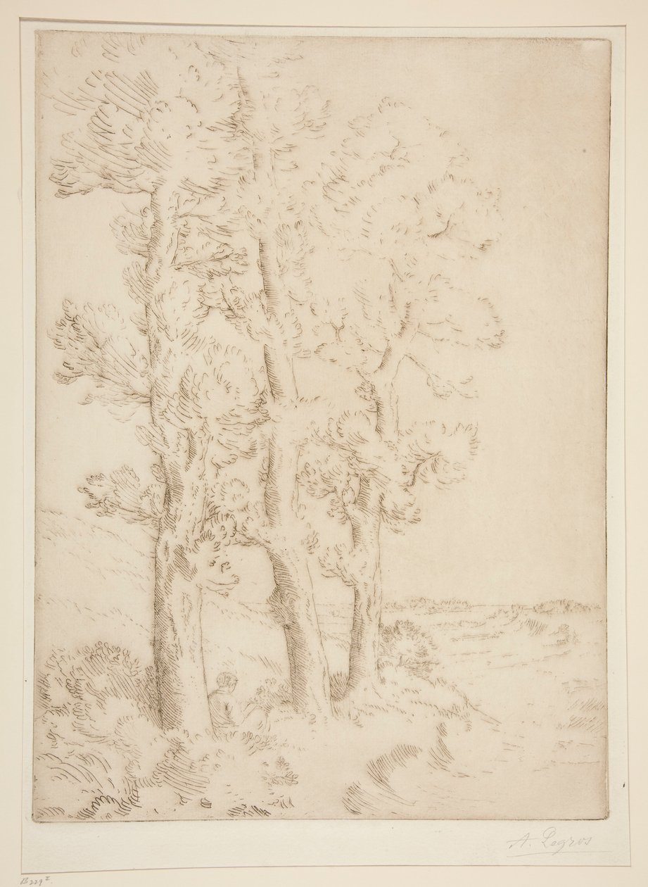 Kvindelæsning: Lektion under træerne af Alphonse Legros