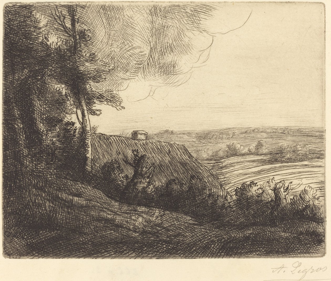 Landskab: Vej til Horville Paysage: Chemin d