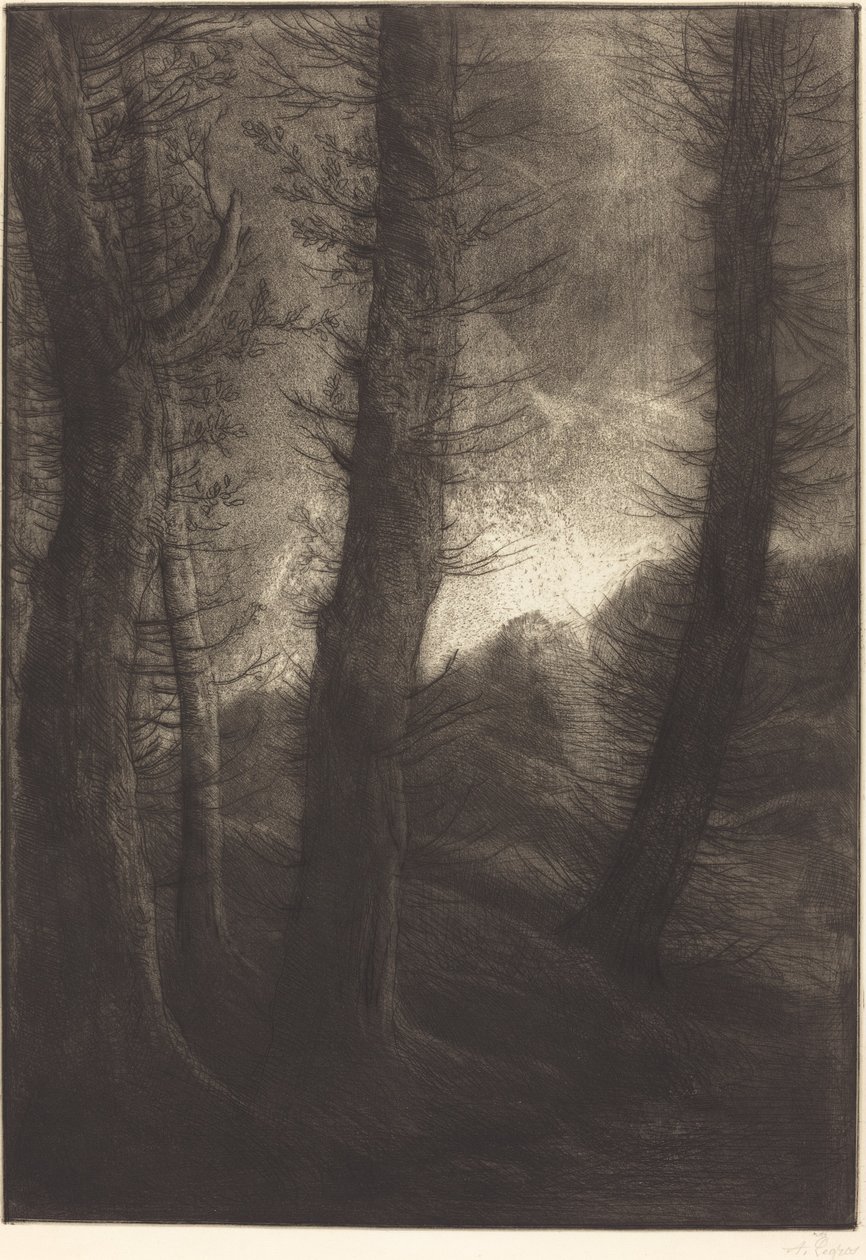 Store træer set mod solen af Alphonse Legros