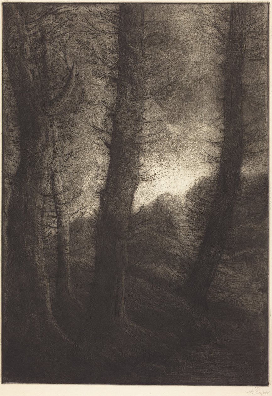 Store træer set mod solen  (De store træer: Aftenstemning) af Alphonse Legros