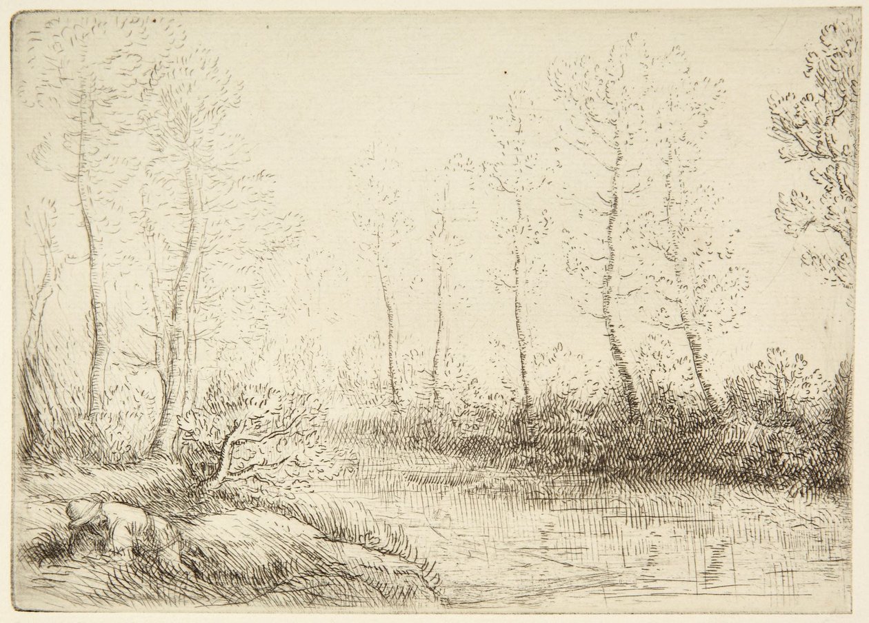 Birketræerne af Alphonse Legros