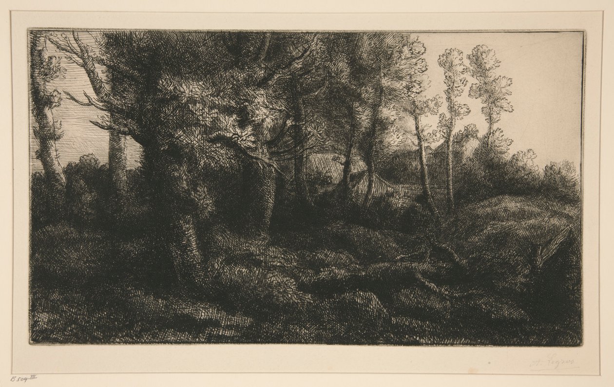 Lisiere de Foret (Skovkanten) af Alphonse Legros