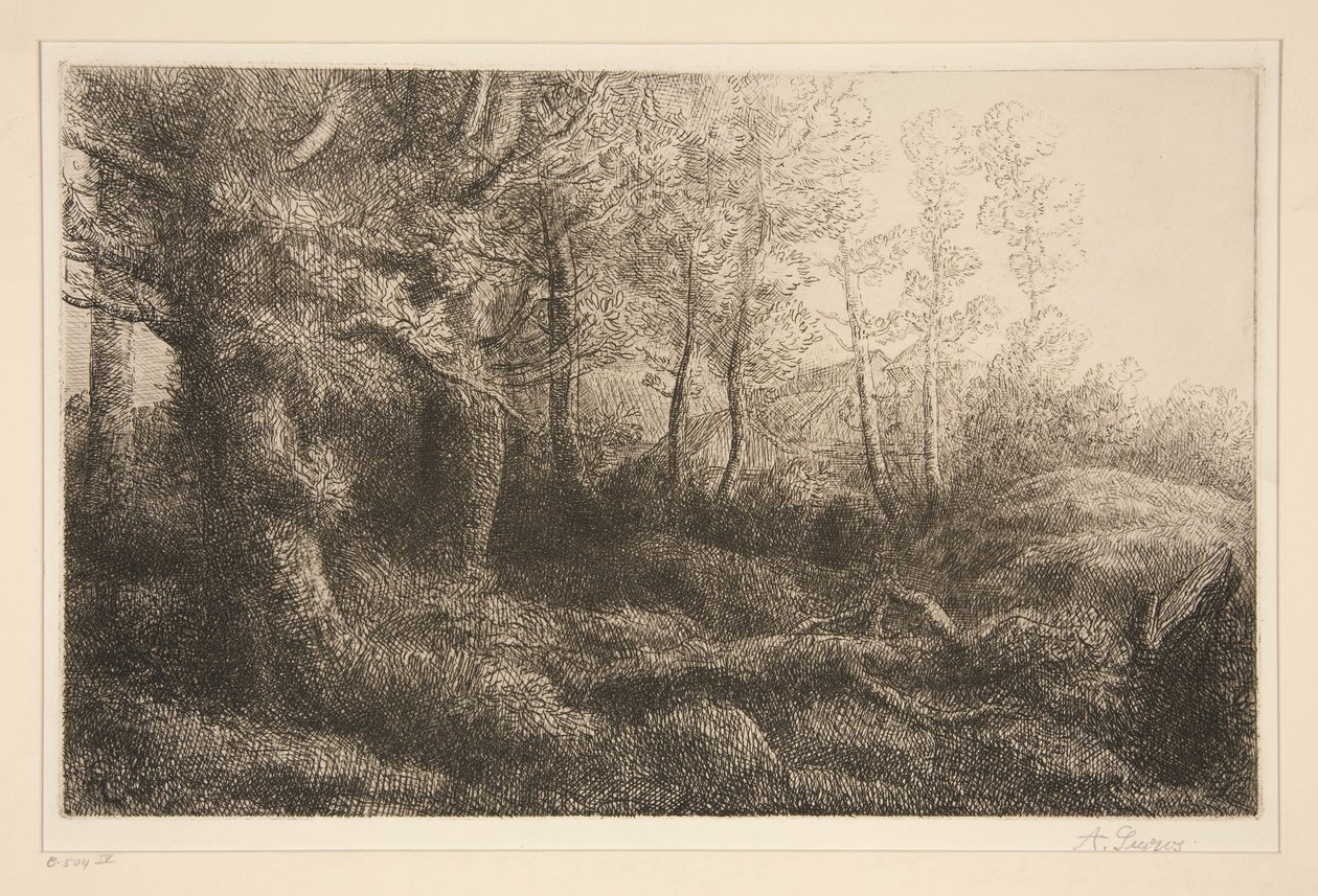 Skovbryn af Alphonse Legros