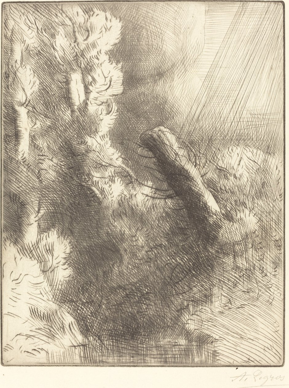 Erindringer om Fountainebleau i Rain Souvenir de Fountainebleau Regneffekt. af Alphonse Legros