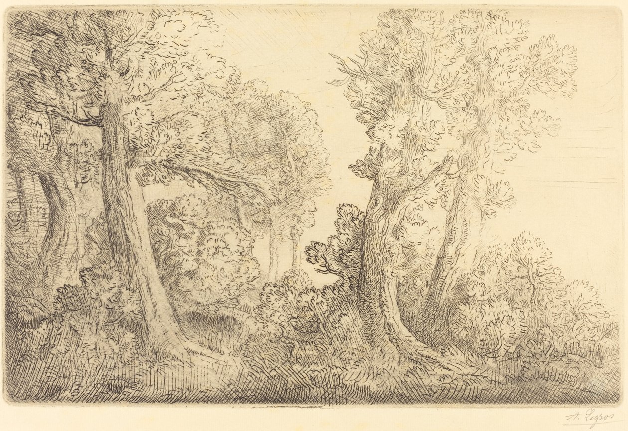 Nær skoven, Veronne (Pres du bois, Veronne) af Alphonse Legros
