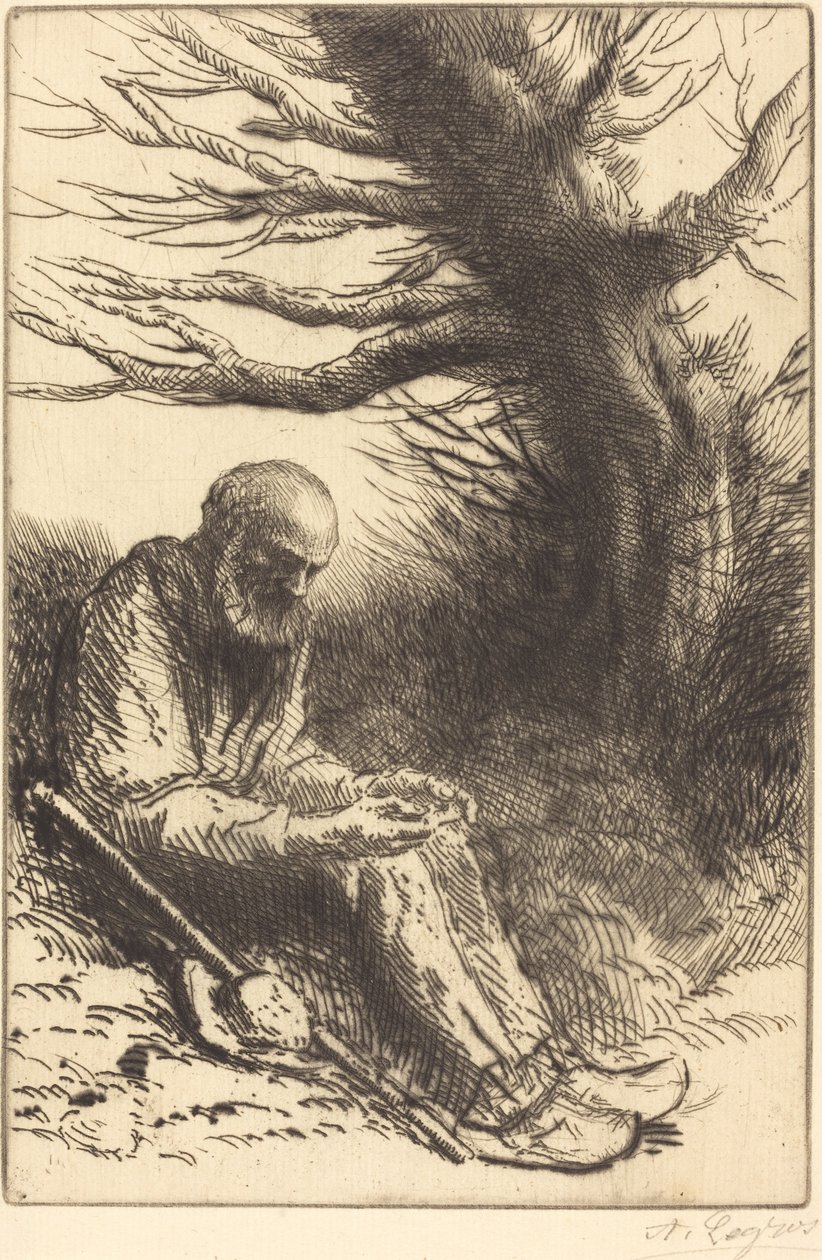 Gammel mand, gammelt træ af Alphonse Legros