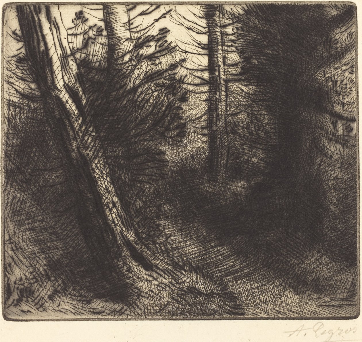 Vej gennem skoven af Alphonse Legros