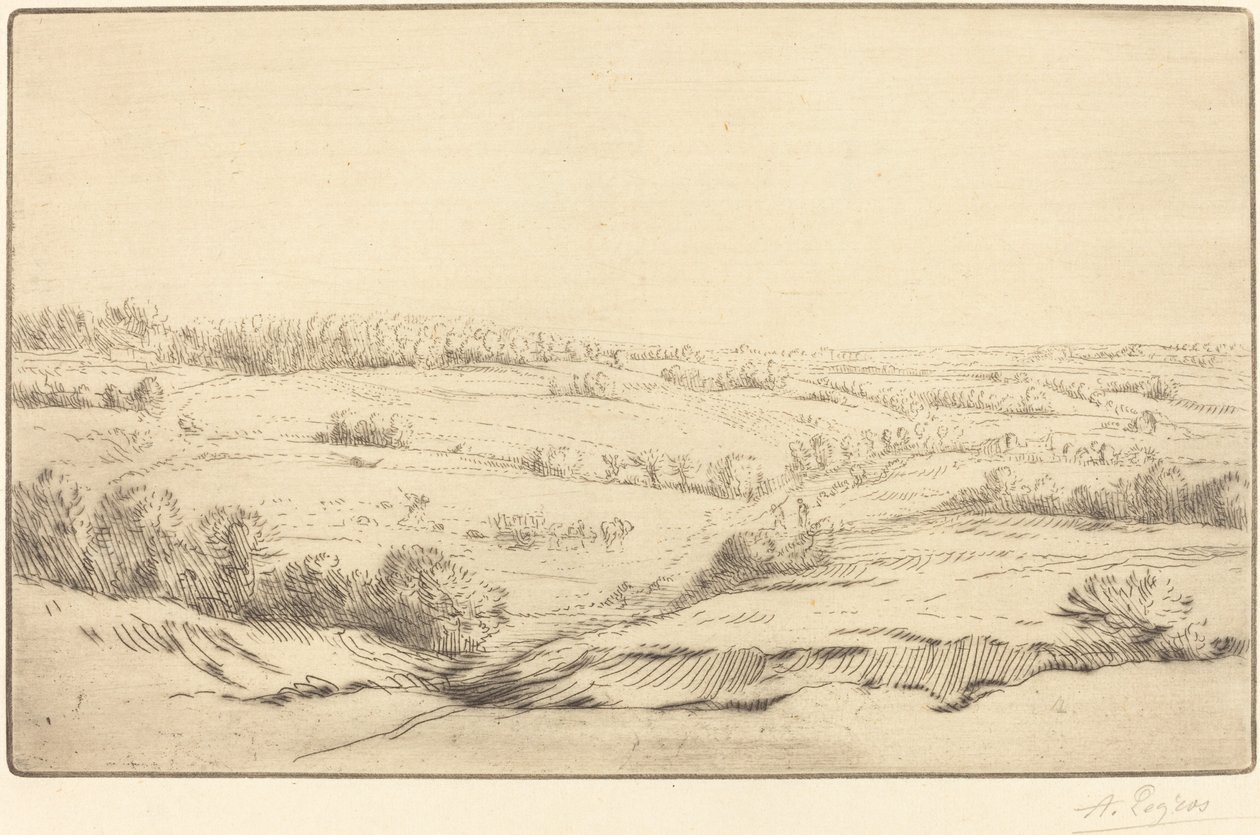 Almindelig Sletten. af Alphonse Legros