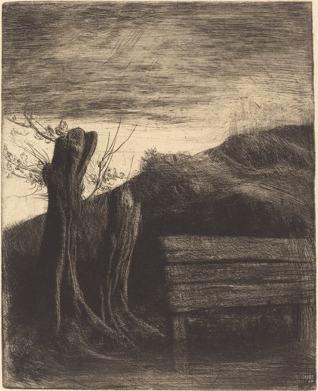 Pollard Pile (Les saules tetards) af Alphonse Legros