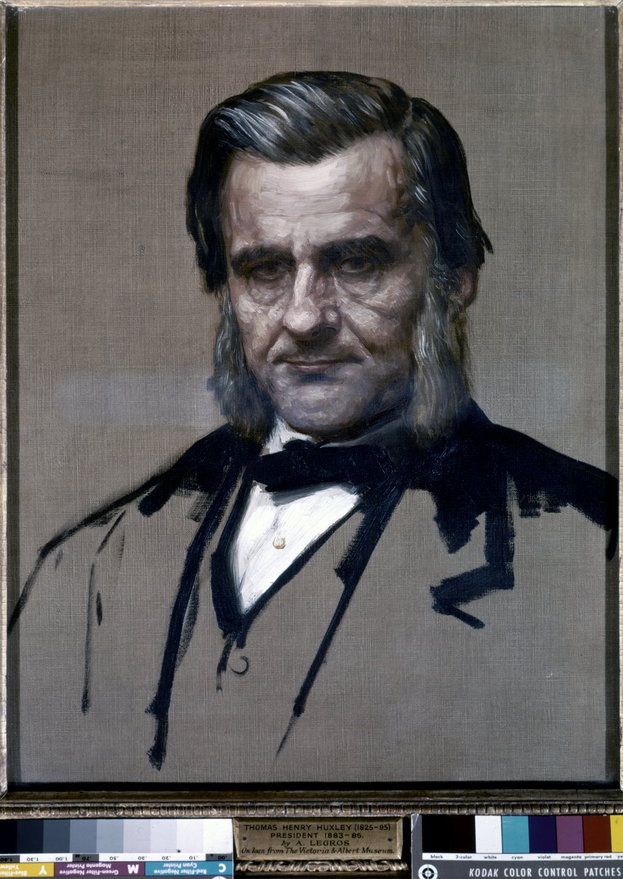 Portræt af Thomas Henry Huxley (olie på lærred) af Alphonse Legros