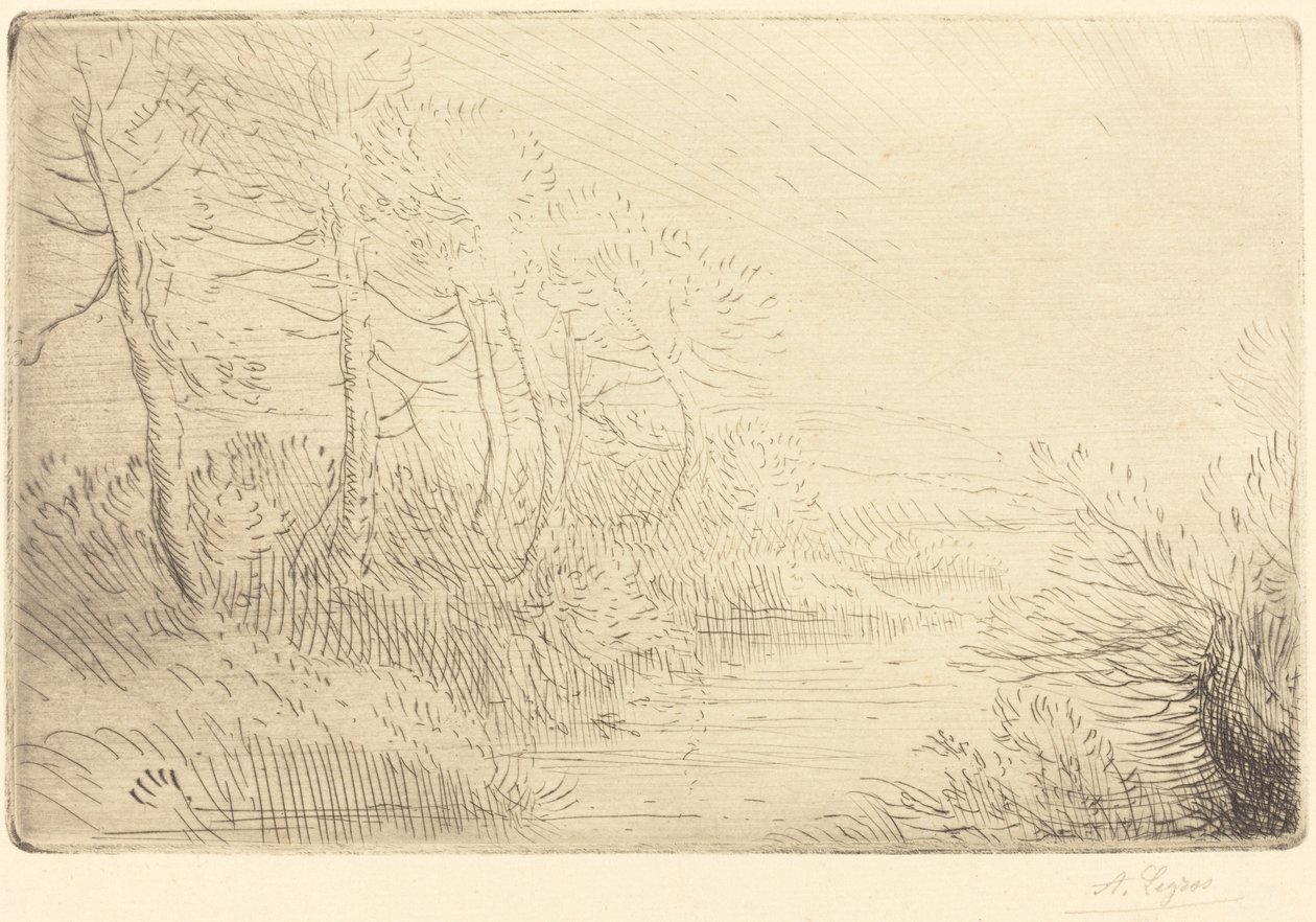 Riverbank Bord de la riviere. af Alphonse Legros