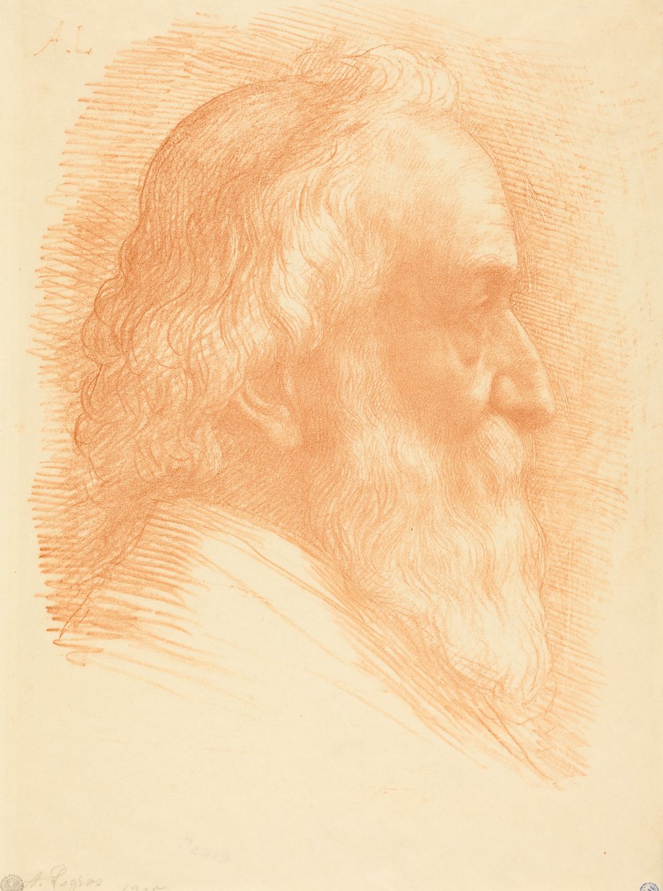 Selvportræt, 10. plade af Alphonse Legros