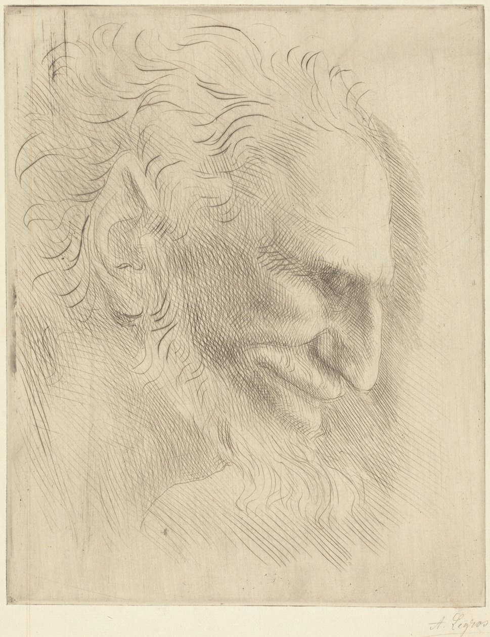 Studie til en mands hoved af Alphonse Legros