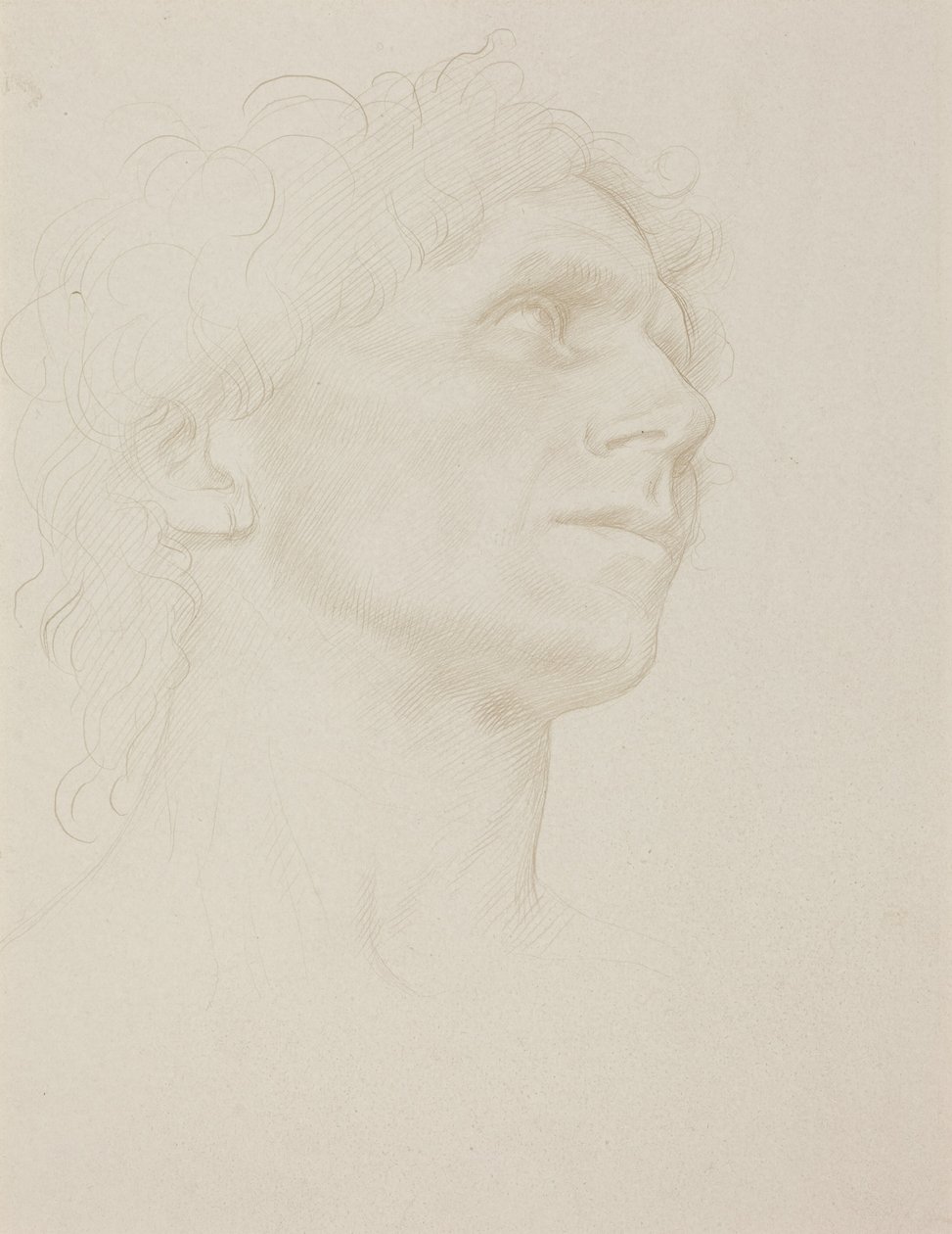 Studie af et kvindehoved, vendt mod højre af Alphonse Legros