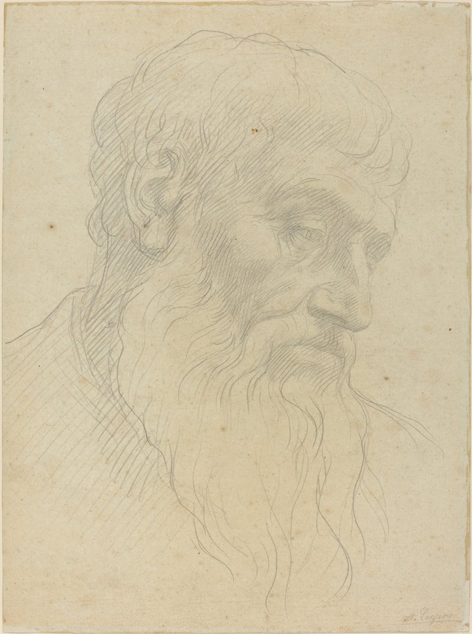 Studie af et hoved af Alphonse Legros