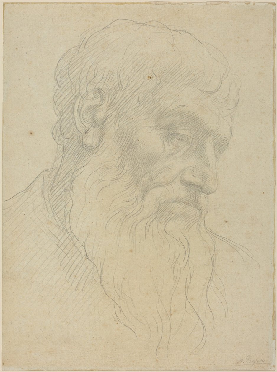 Studie af et hoved af Alphonse Legros