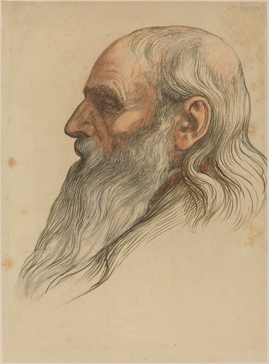Studie af en mands hoved med fuldskæg af Alphonse Legros