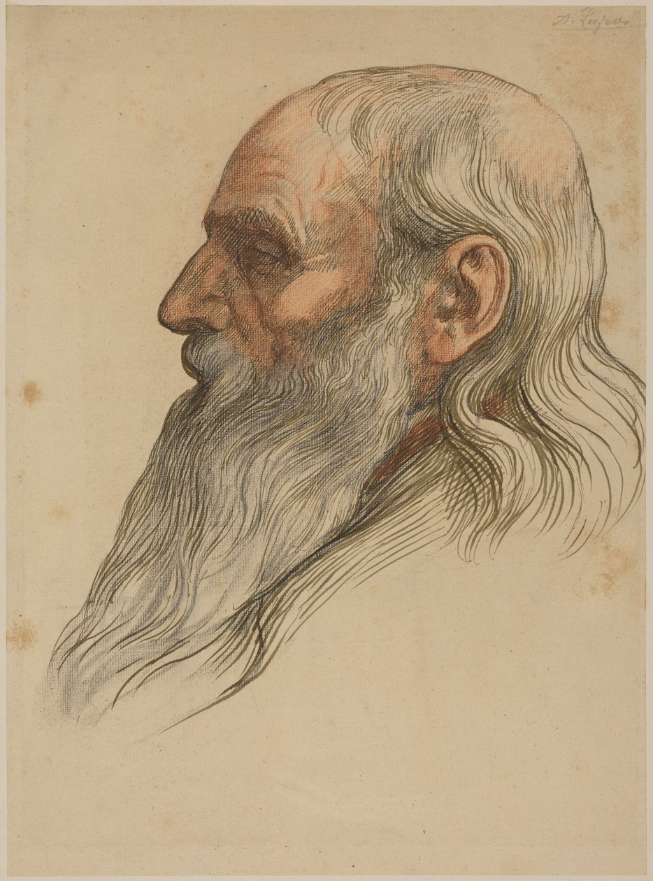 Studie af et mandligt hoved med fuldskæg af Alphonse Legros