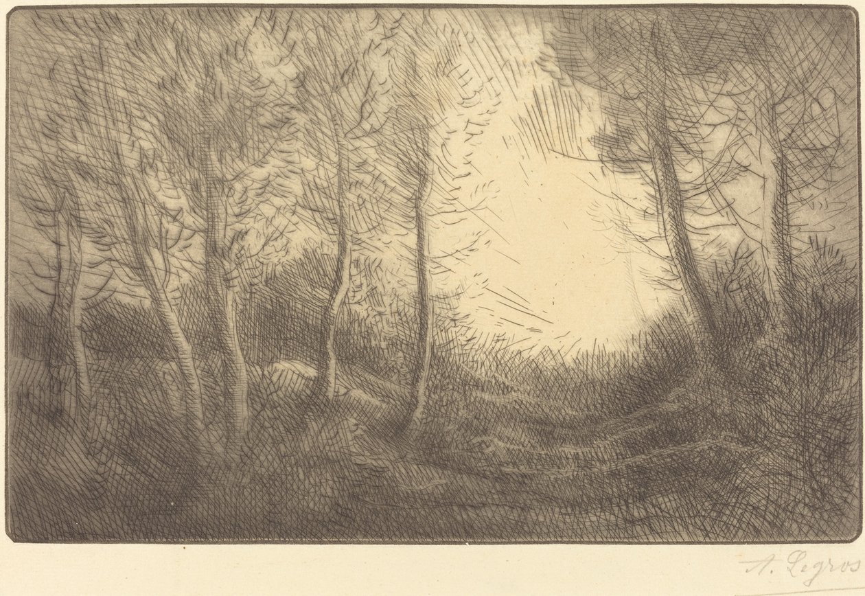 Solopgang, Woods of Clamart af Alphonse Legros