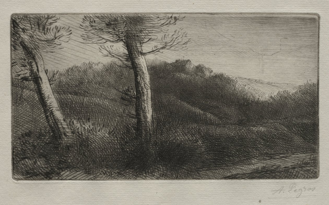 Den rejsende strakt ud på græsset, ca. 1888. af Alphonse Legros