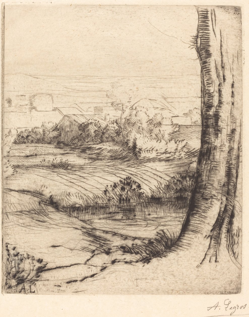 Udsigt over Reeds Coin de roseau. af Alphonse Legros