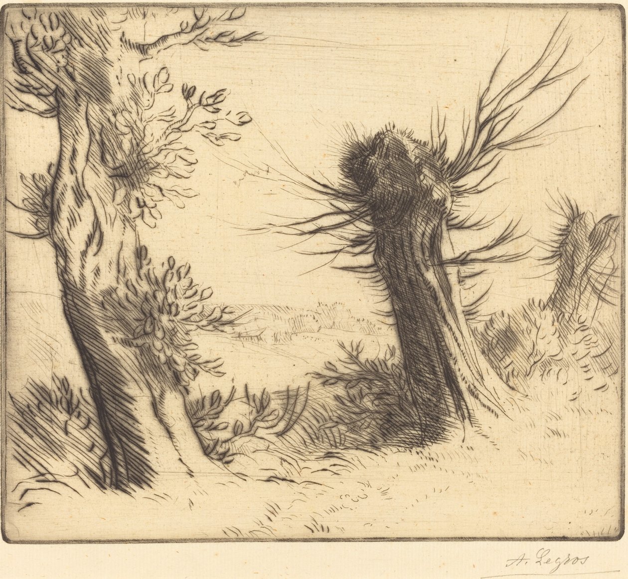 Piletræer Les saules. af Alphonse Legros