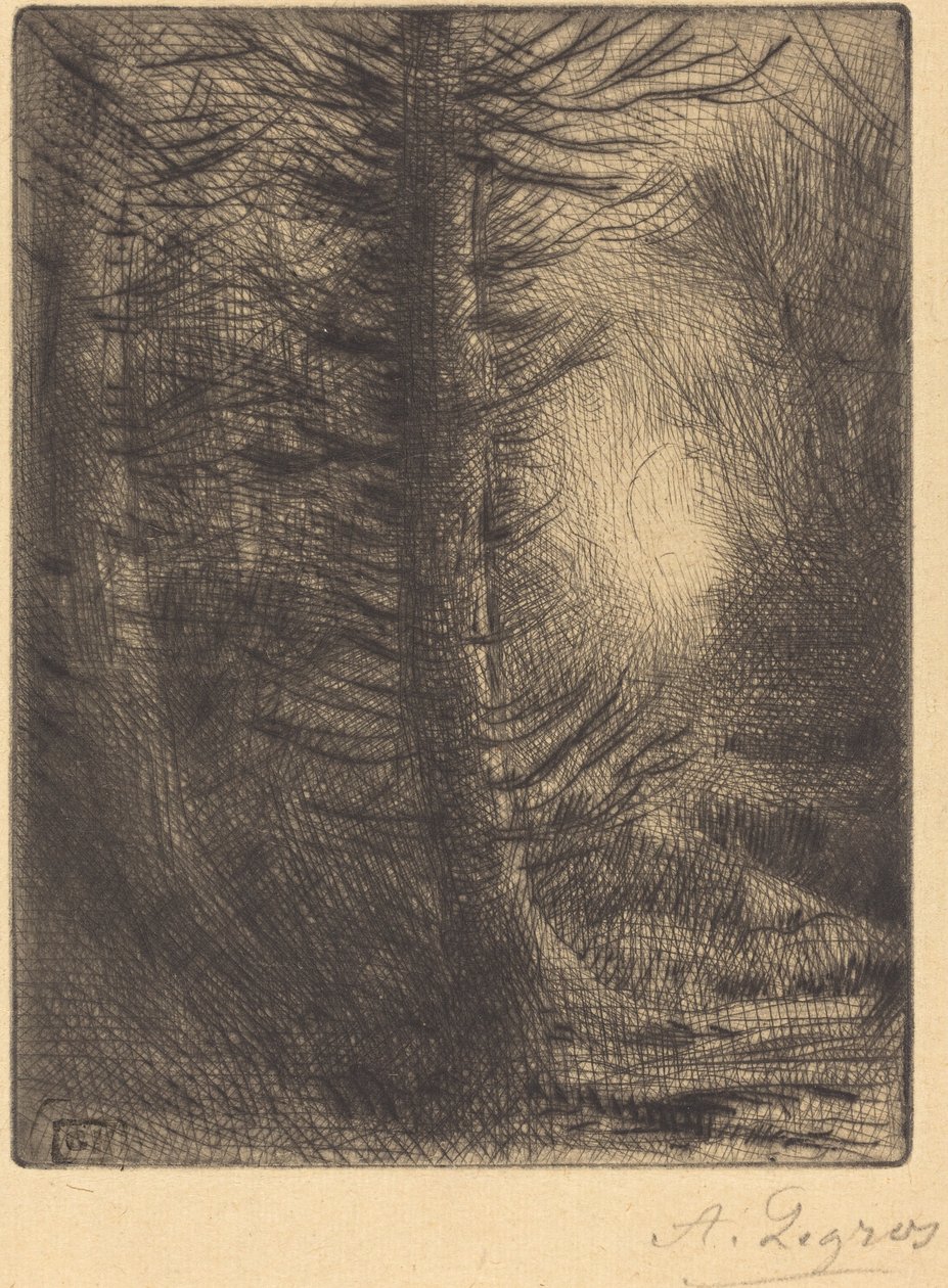 Skov i vintersol, 1. tallerken af Alphonse Legros