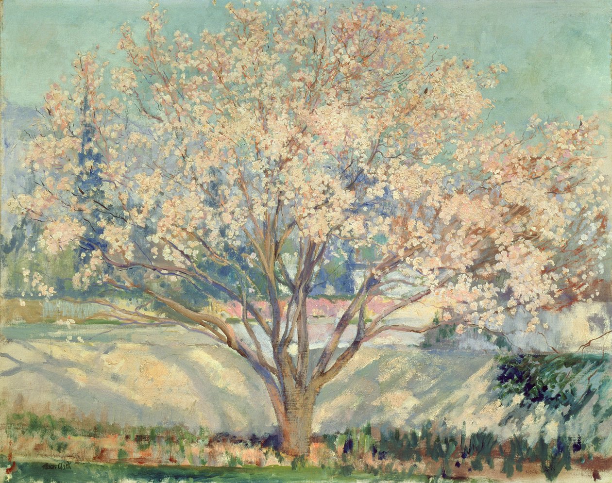 Mandeltræ i blomst (olie på lærred) af Alson Skinner Clark