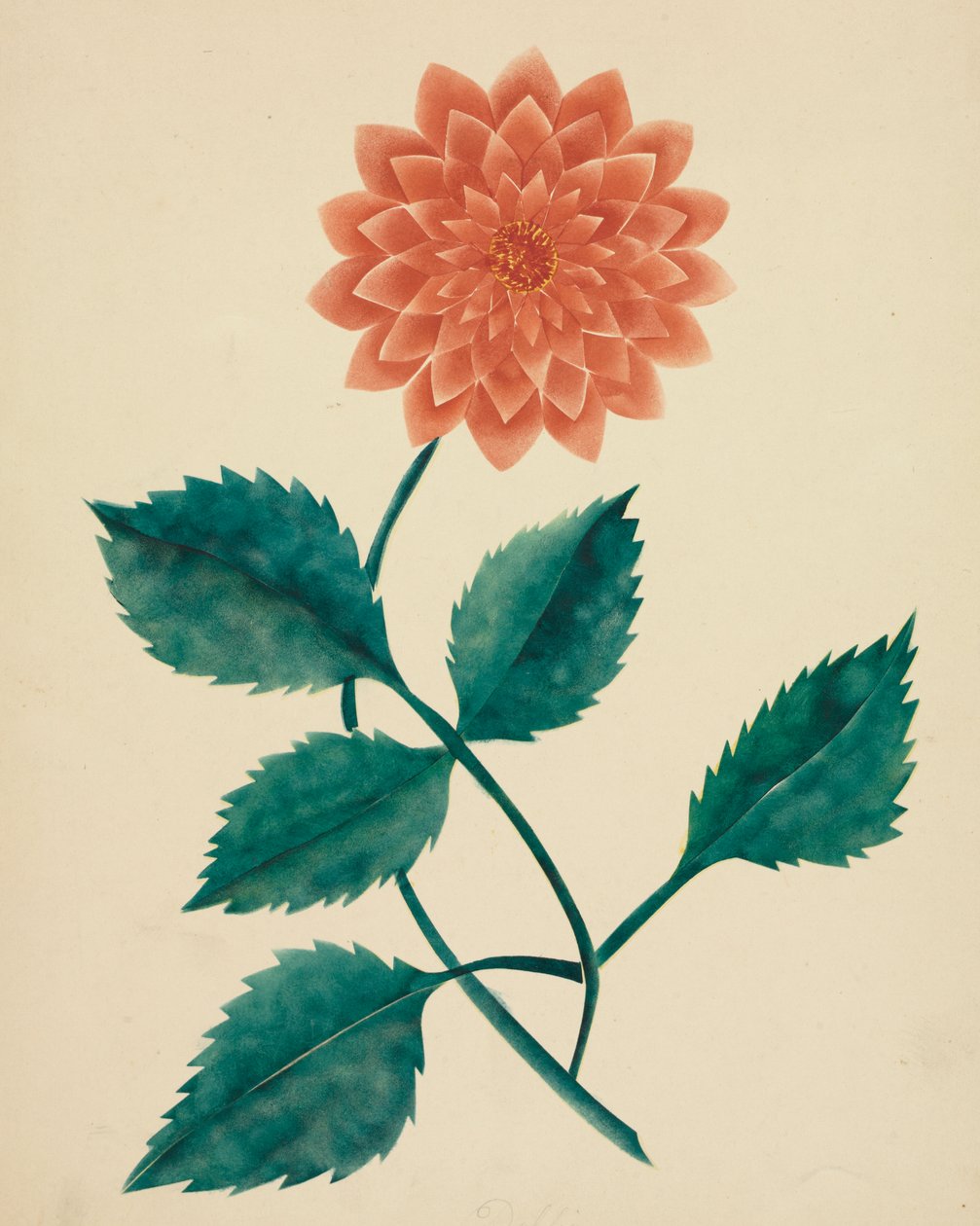Dahlia (akvarel) af Altha Mary Nims