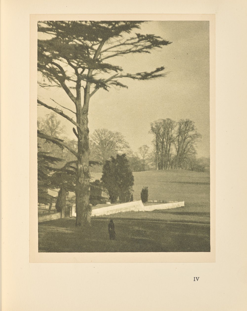 Kanten af haven af Alvin Langdon Coburn