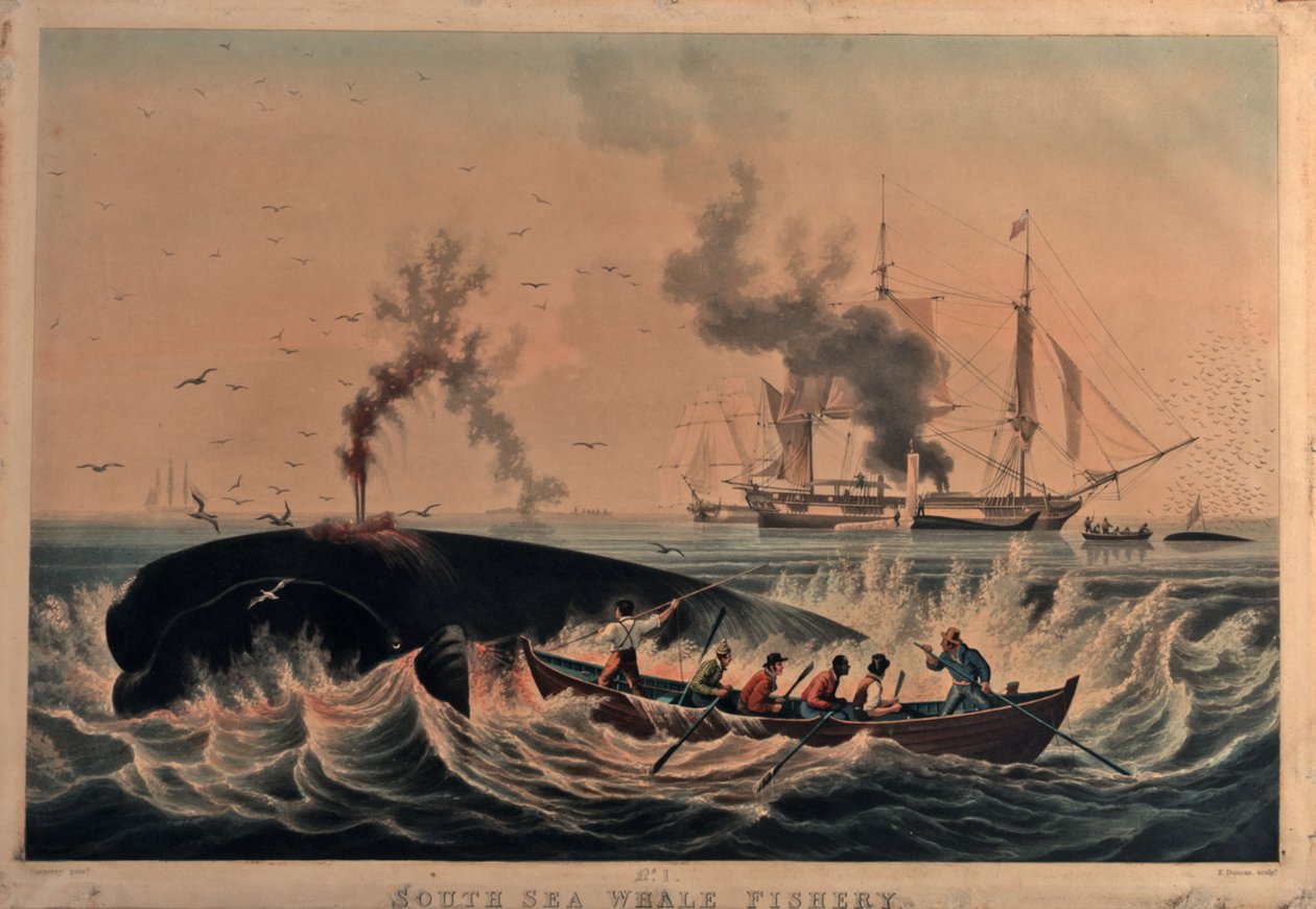Fiskeri efter hvaler i Sydhavet af Ambroise Louis (after) Garneray