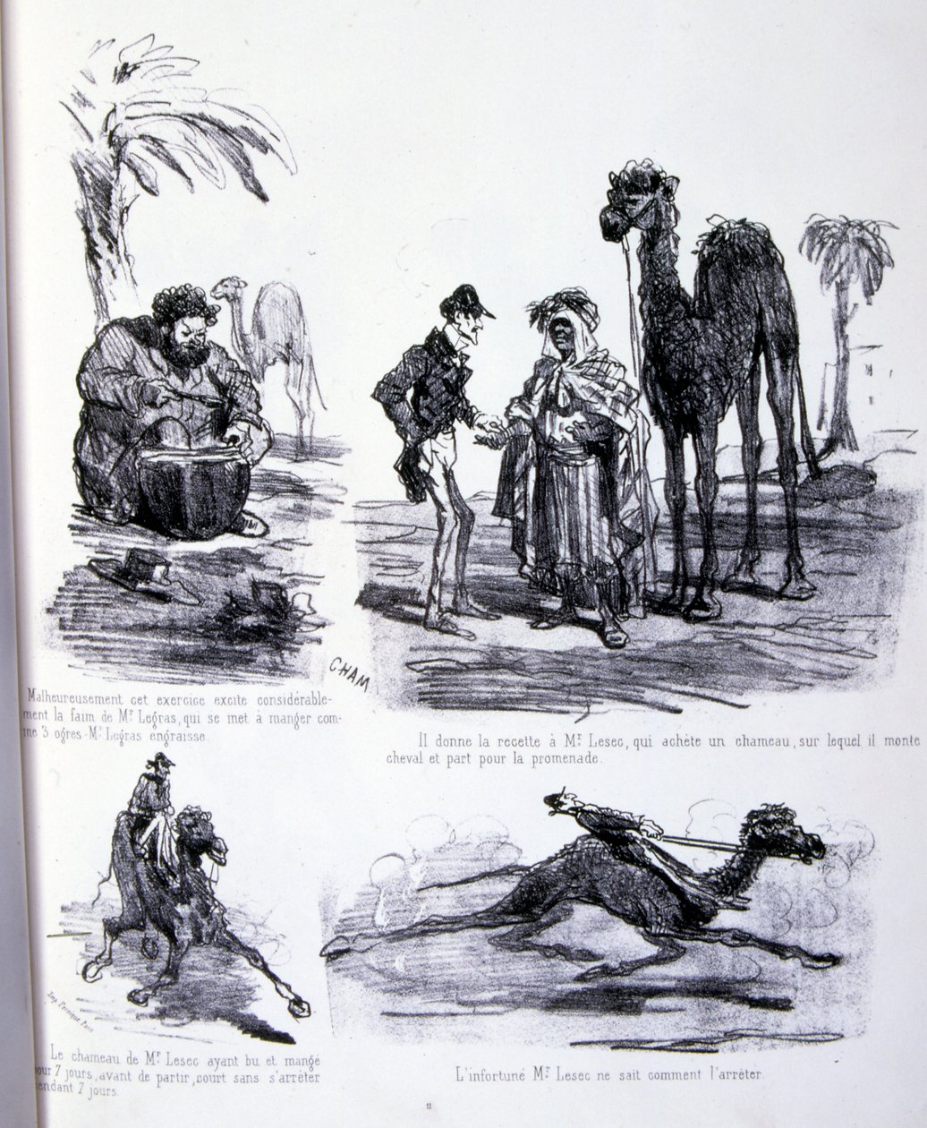 illustration til Kunsten at fede og tabe sig af Amédée de Noé