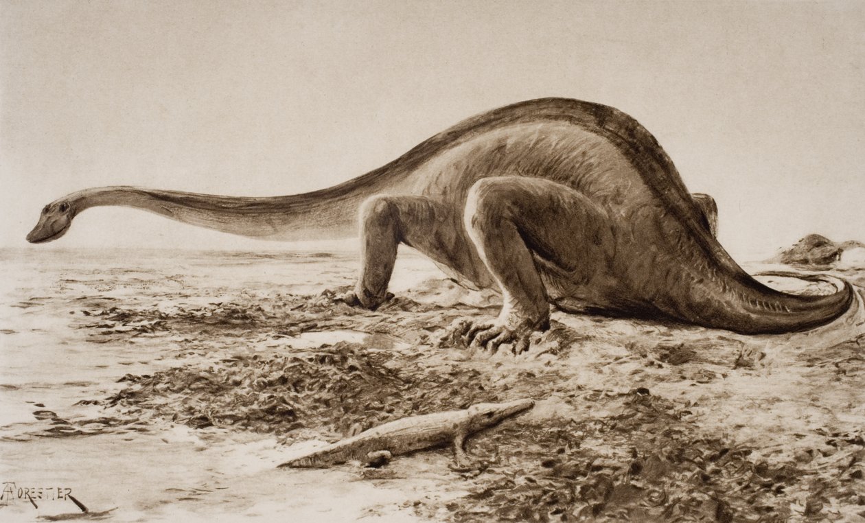 Brachiosaurus af Amedee Forestier