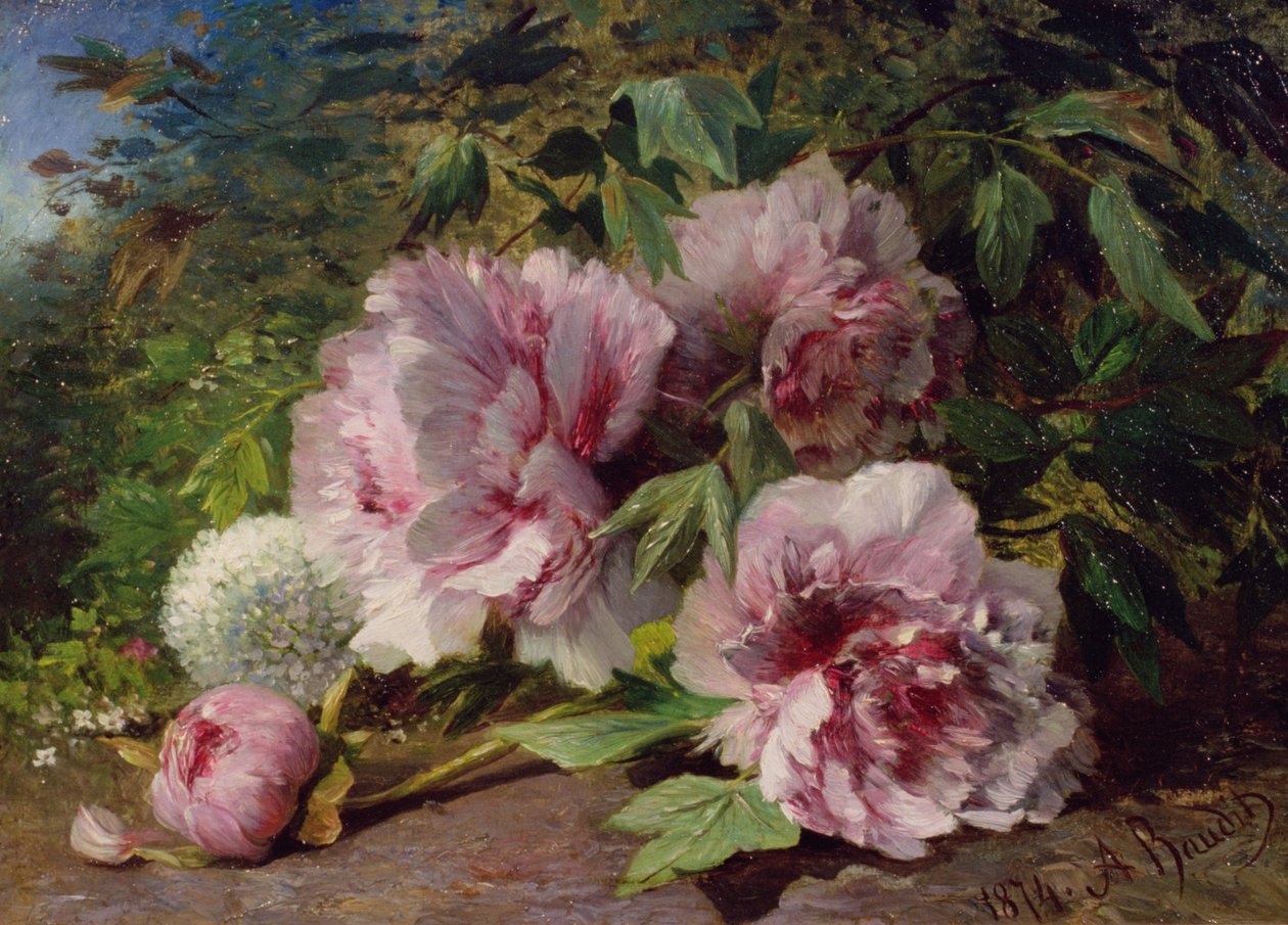 Studie af pæoner, 1874 af Amedee Baudit