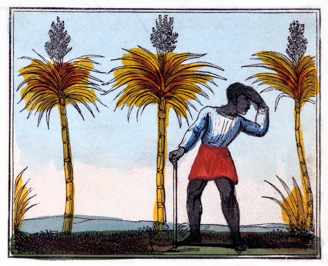Skæring af sukkerrør, 1826 af Amelia Alderson Opie