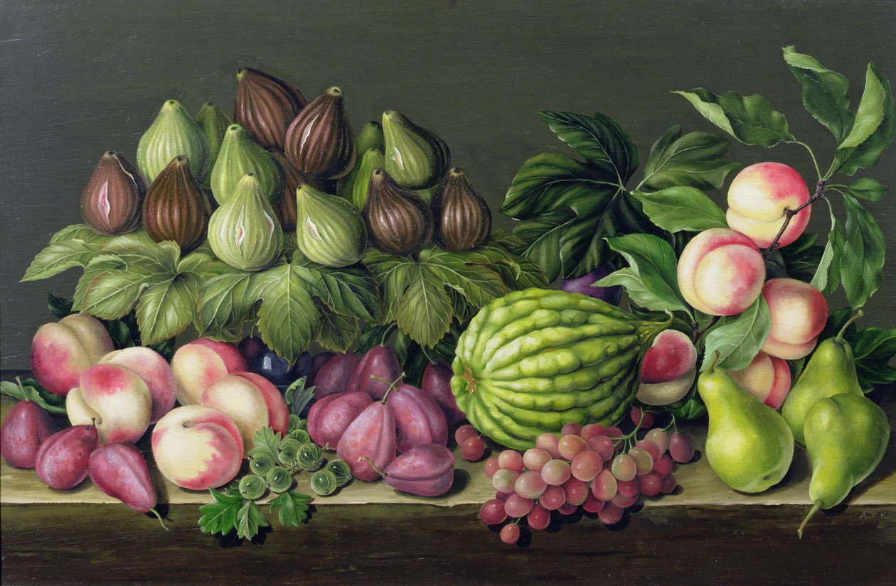 Figner, melon og stikkelsbær, 1998 af Amelia Kleiser