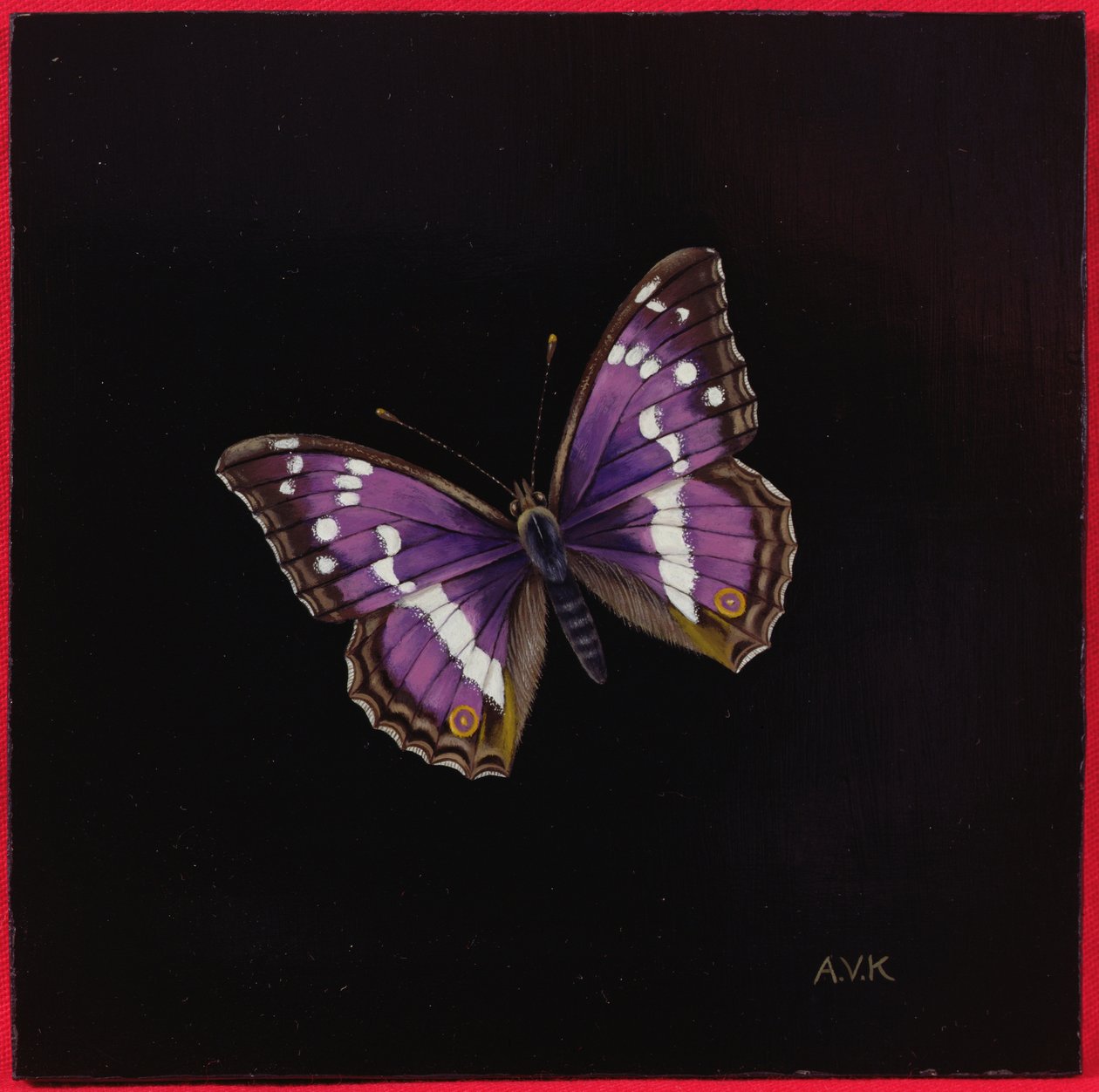 Lilla kejsersommerfugl, 2000 af Amelia Kleiser