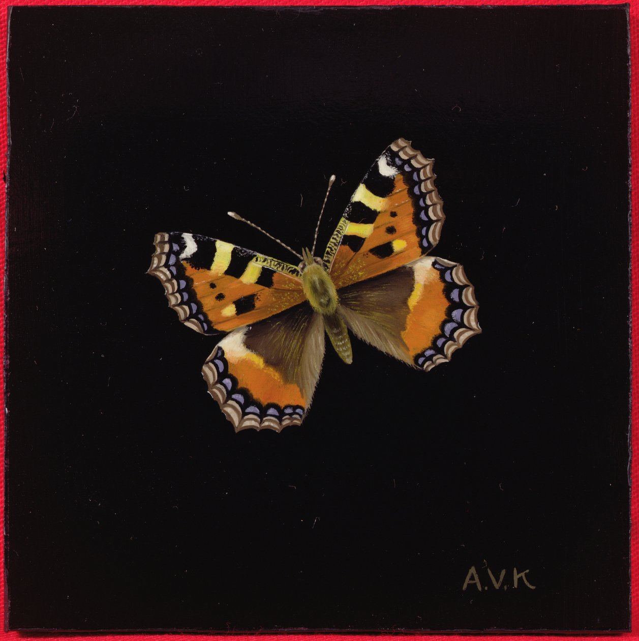 Lille skildpadde sommerfugl, 1998 af Amelia Kleiser
