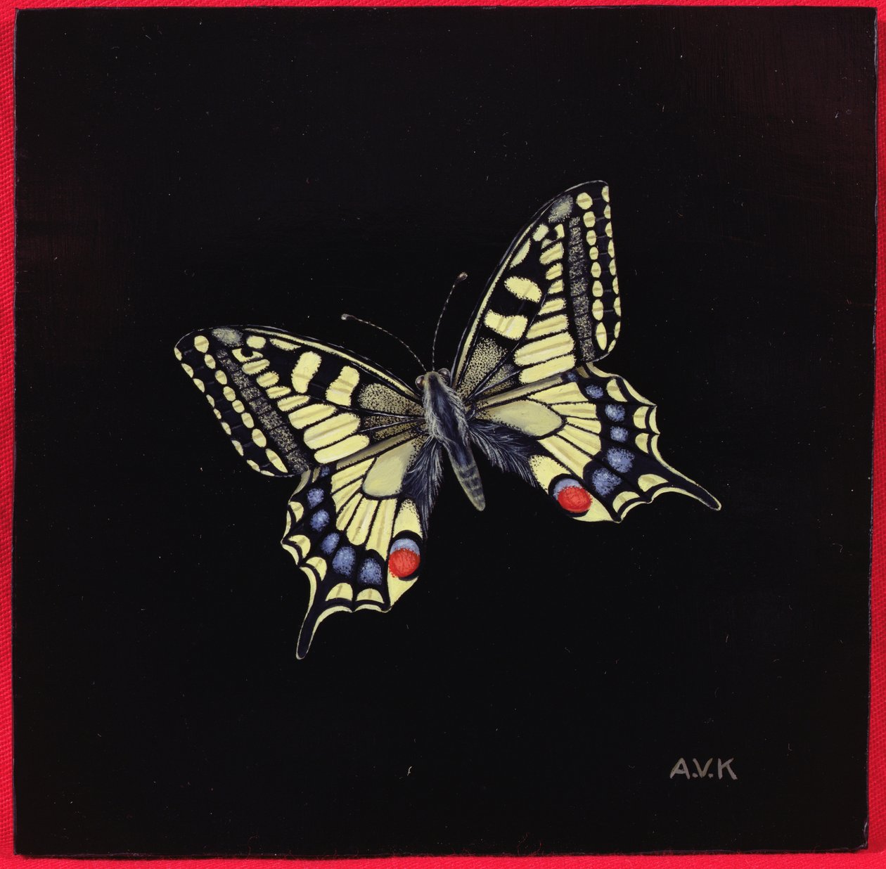 Svalehale sommerfugl, 1999 af Amelia Kleiser