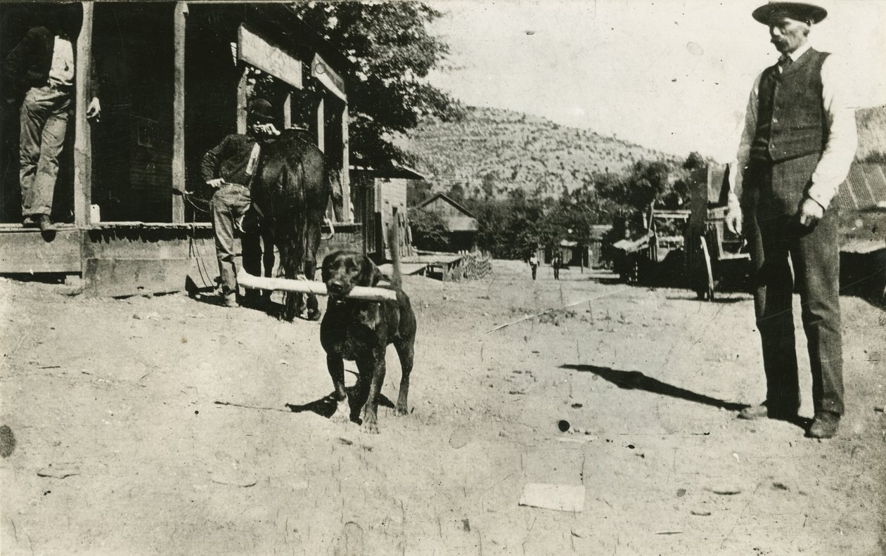 Butch Cassidy (1886-1908) af American Photographer