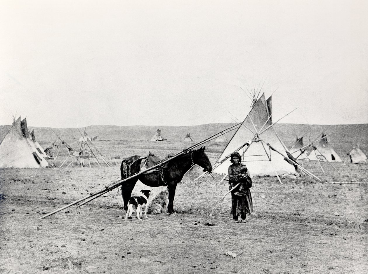 Comanche indisk af American Photographer
