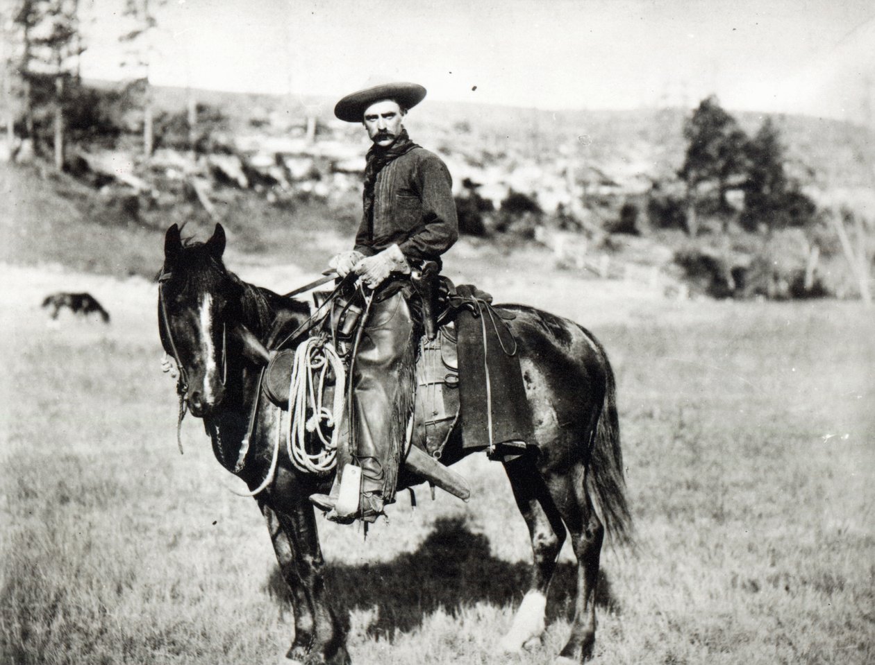 Cowboy rider på en hest i Montana, USA, ca. 1880 af American Photographer