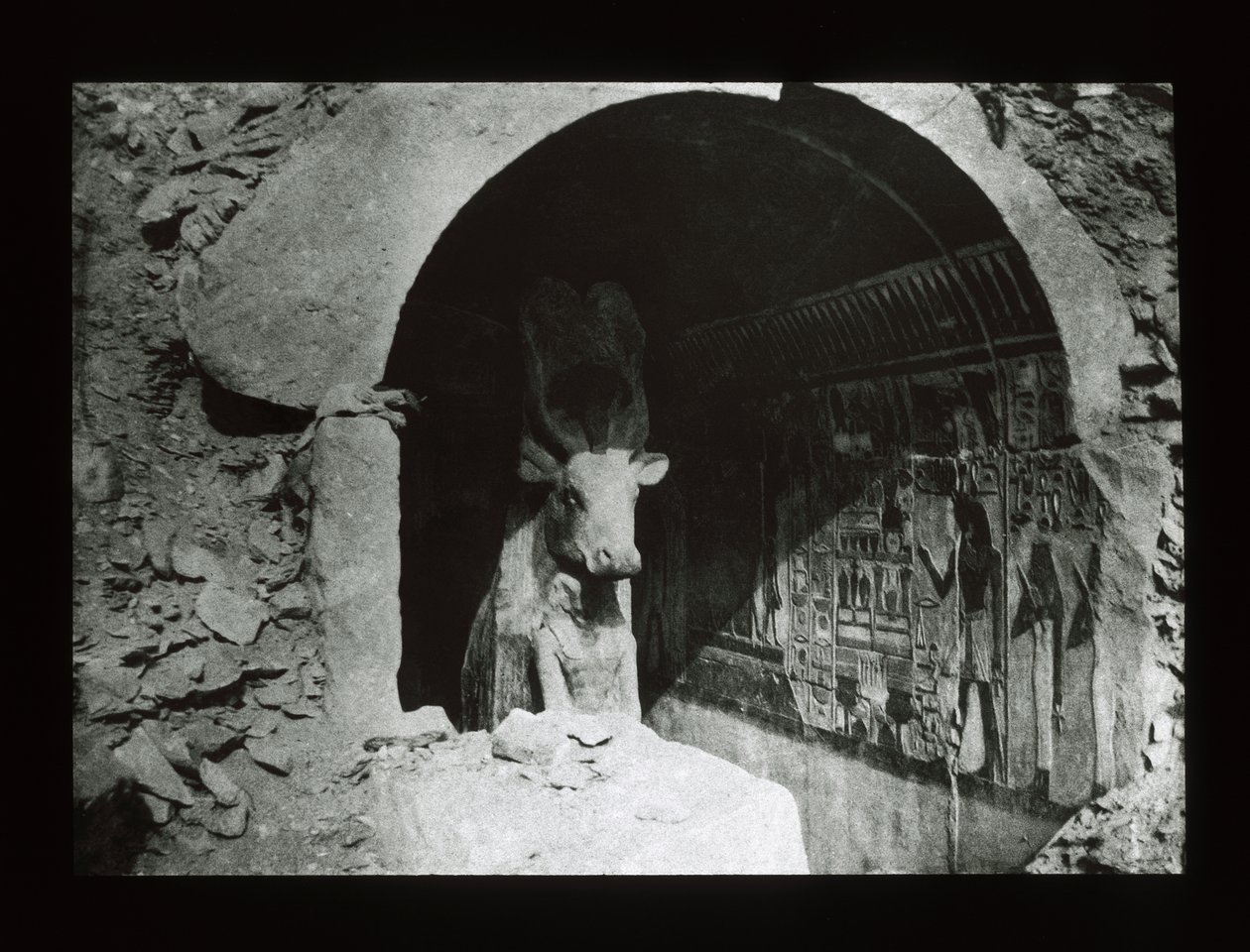 Hathor-ko i en helligdom fra det 18. dynasti, Deir El-Bahri (lanternerutsjebane) af American Photographer