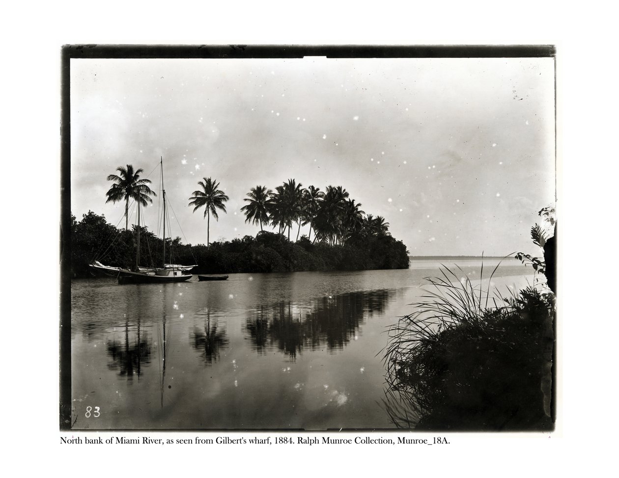 Den nordlige bred af Miami-floden, set fra Ghilberts Wharf, 1884 af American Photographer